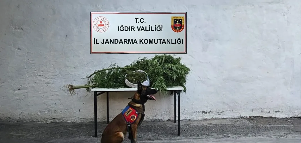 IĞDIR İL JANDARMA KOMUTANLIĞI'NDAN