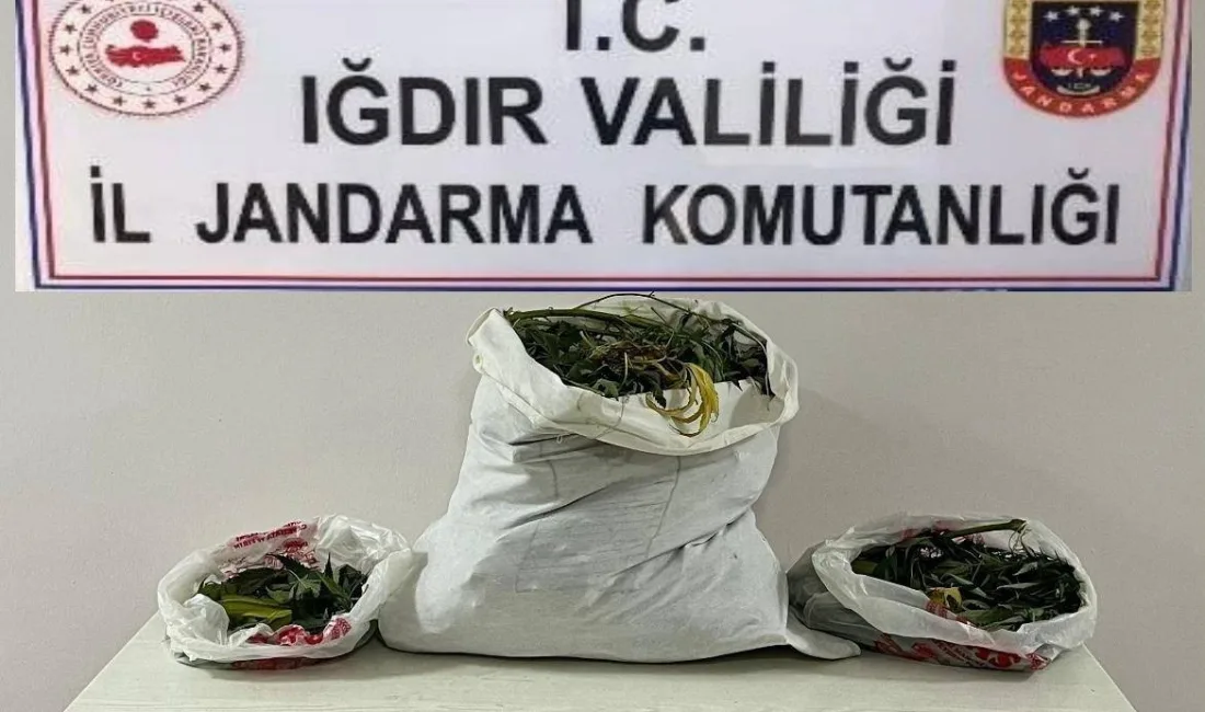 IĞDIR'DA FARKLI ADRESLERE UYUŞTURUCU