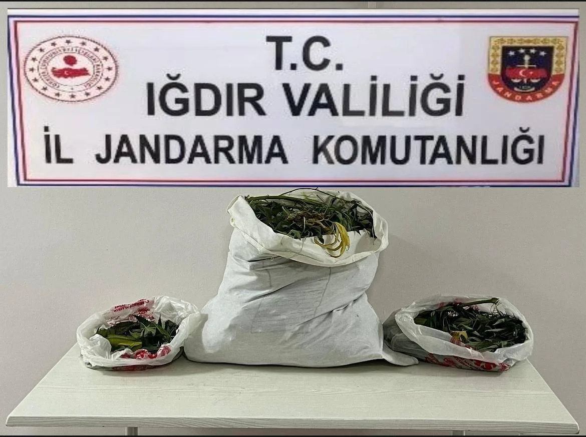 Iğdır’da farklı adreslere uyuşturucu operasyonu