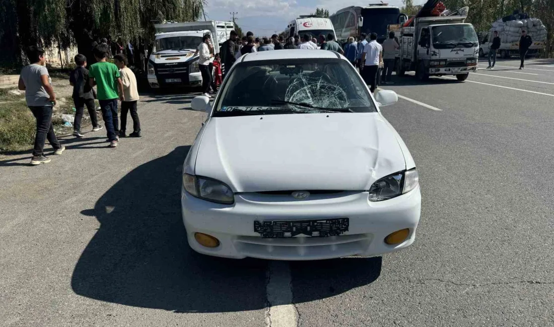 IĞDIR'DA YOLUN KARŞISINA GEÇMEYE