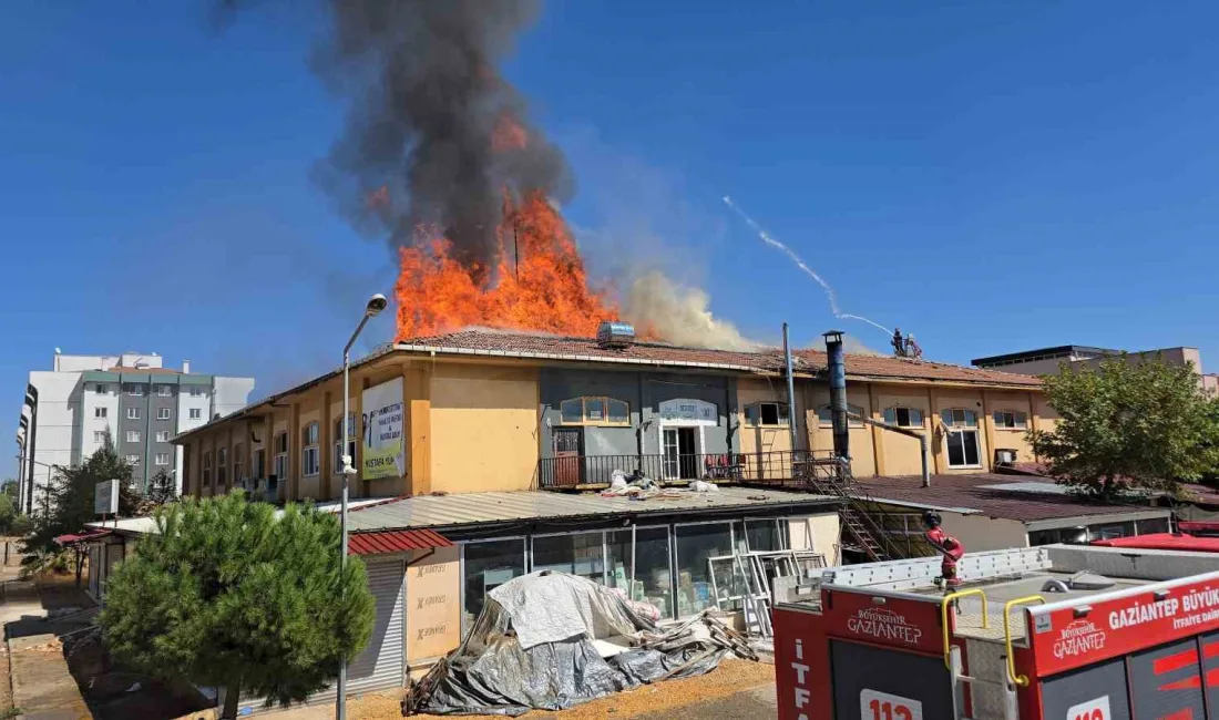 GAZİANTEP'İN İSLAHİYE İLÇESİNDE BULUNAN