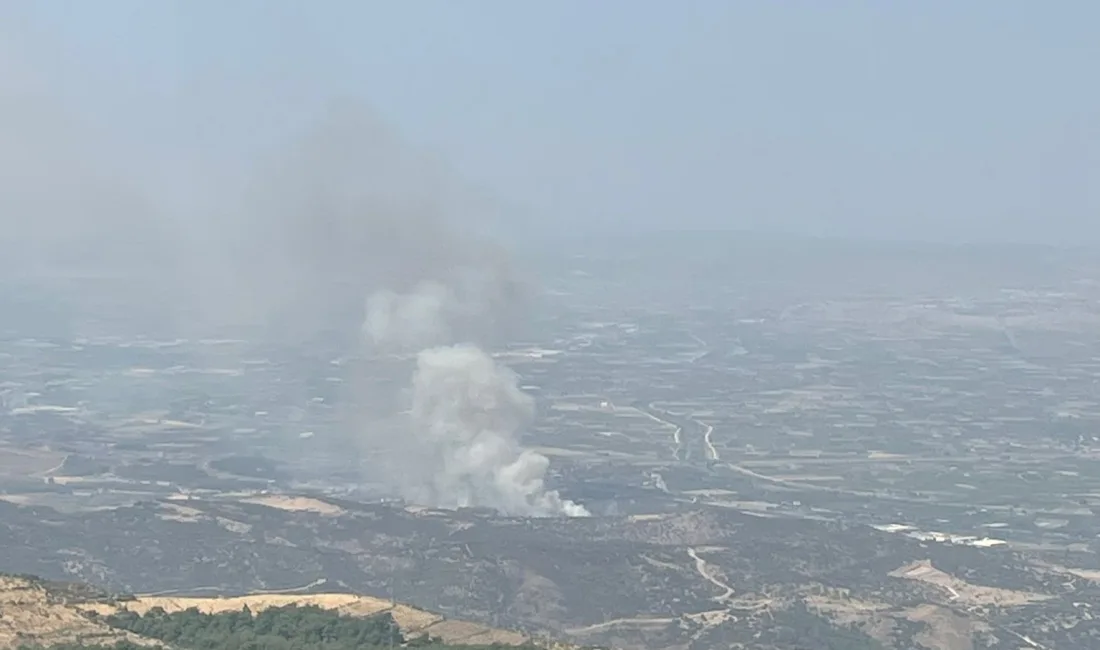 İZMİR'İN MENEMEN İLÇESİNDE ORMANLIK