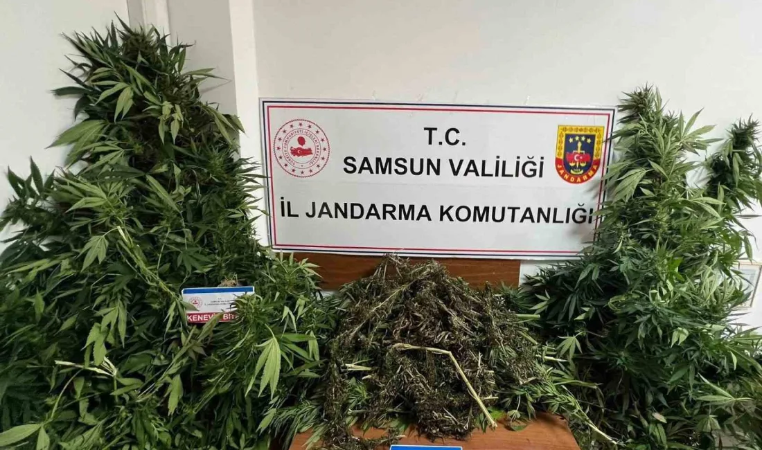 SAMSUN'DA JANDARMA EKİPLERİ TARAFINDAN