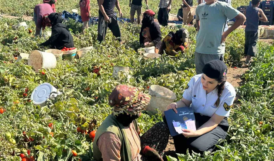 ESKİŞEHİR’DE JANDARMA EKİPLERİ TARAFINDAN