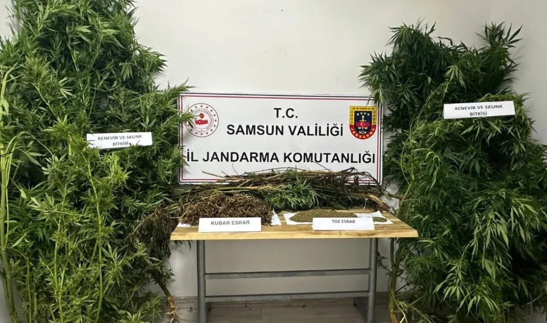 SAMSUN'DA JANDARMA EKİPLERİ TARAFINDAN