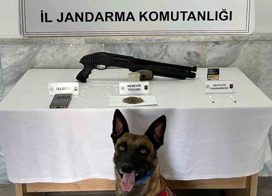 JANDARMADAN UYUŞTURUCU OPERASYONU