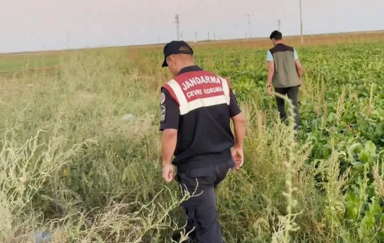 AKSARAY’DA KAÇAK AVCILARIN PEŞİNE