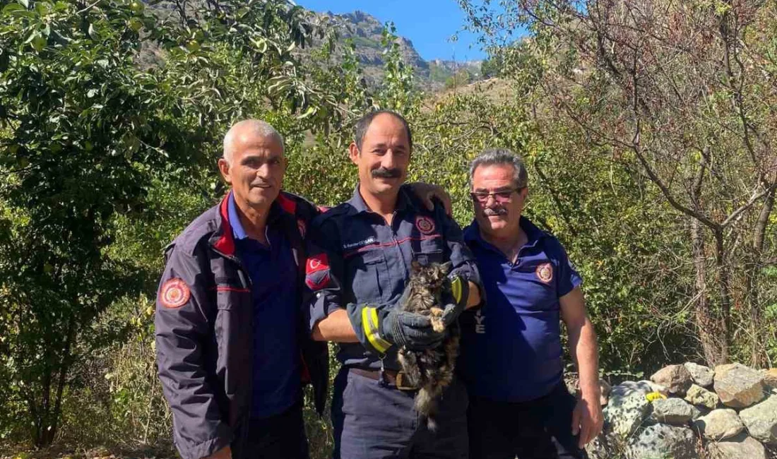 GÜMÜŞHANE’DE HARŞİT ÇAYI’NDA KAFASINI