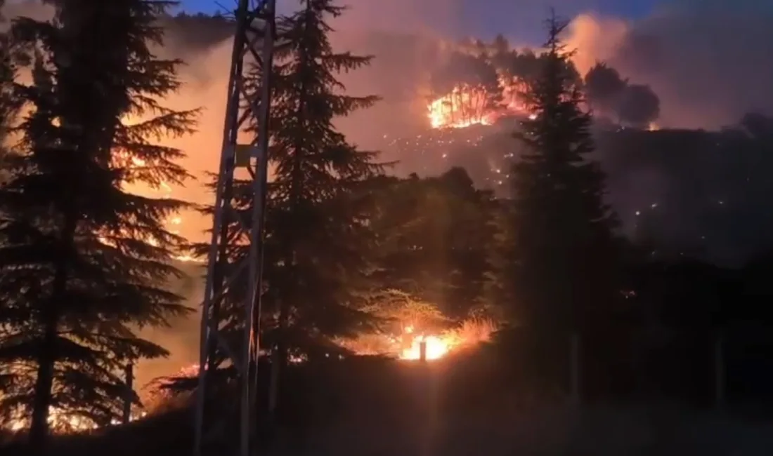 KAHRAMANMARAŞ’TA ORMANLIK ALANDA ÇIKAN