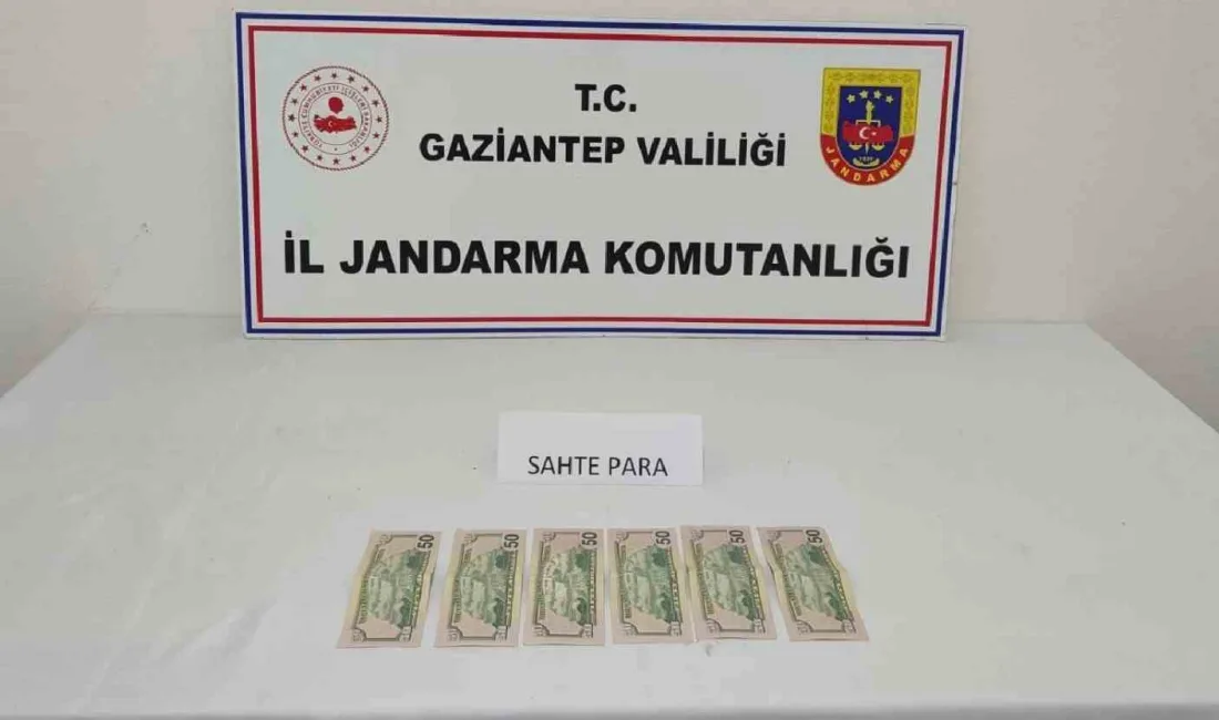 KALPAZANLIK YAPAN ŞAHSA JANDARMADAN