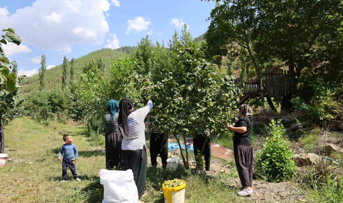 ADANA’NIN FEKE İLÇESİNE BAĞLI