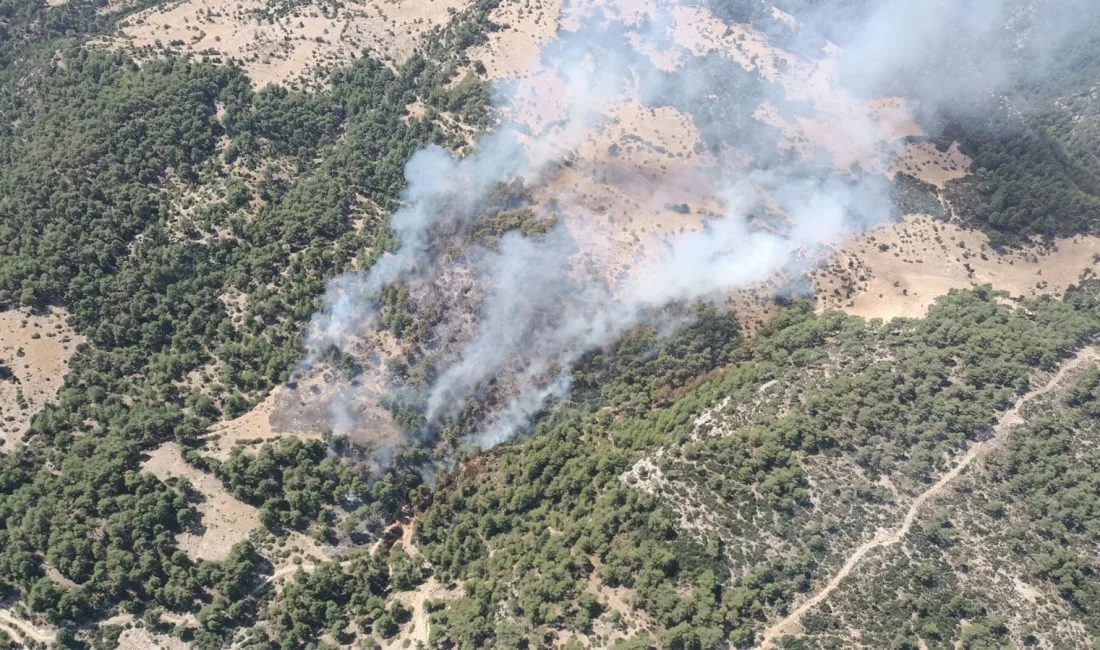 ANTALYA’NIN KAŞ İLÇESİNDE ÇIKAN