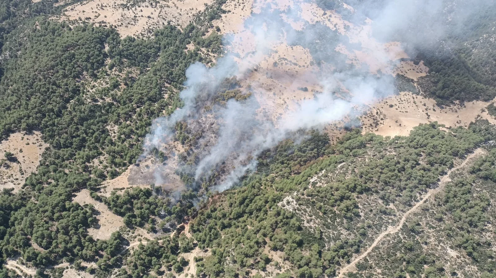 Kaş’taki orman yangını kontrol altına alındı