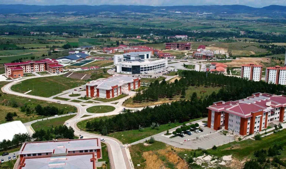 KASTAMONU ÜNİVERSİTESİ, STANFORD ÜNİVERSİTESİ