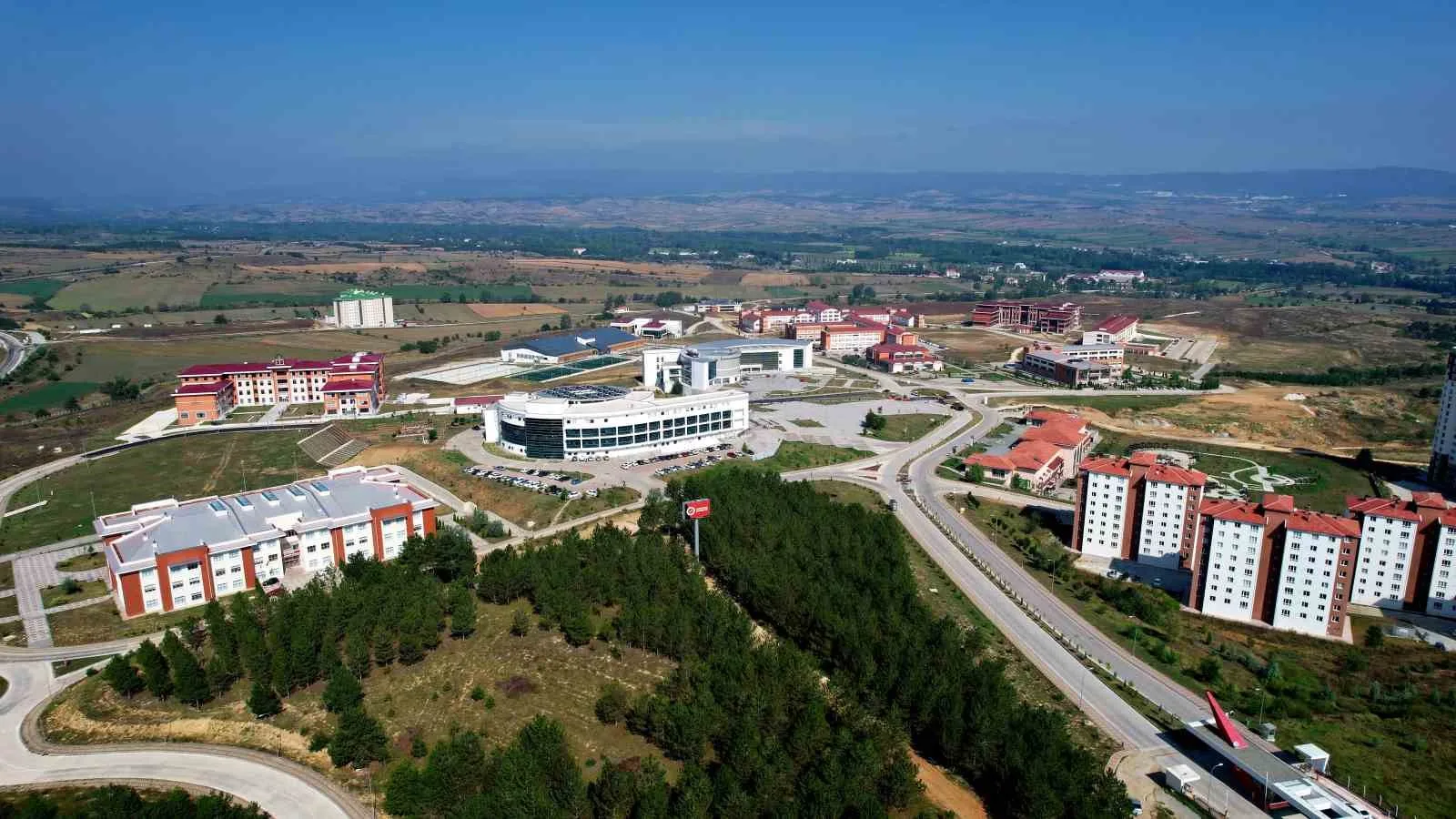 Kastamonu Üniversitesi’nin çalışmasıyla omurga hastalıklarının tedavisi kolaşlaşacak