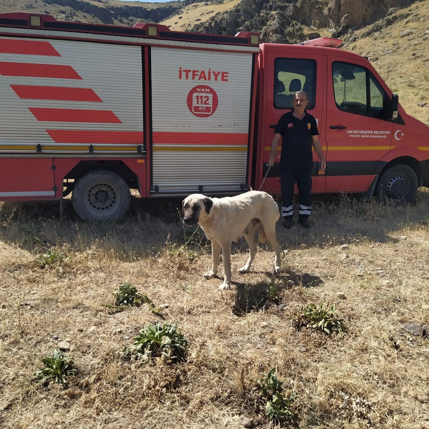 Kayalıklarda mahsur kalan köpek kurtarıldı