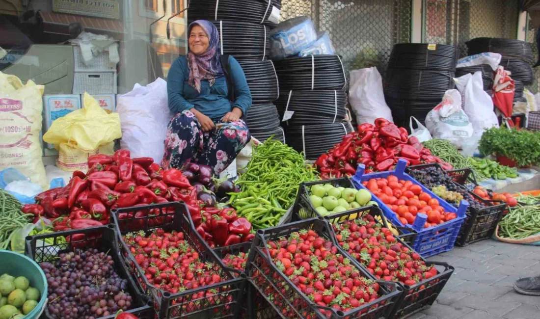 ÇANAKKALE’NİN BAYRAMİÇ İLÇESİNDE KAZ