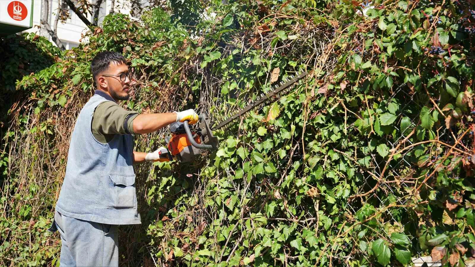 ANKARA’NIN KEÇİÖREN BELEDİYESİ, İLÇEDE SARARAN VE MEVSİM DOLAYISIYLA KURUYAN BİTKİLERİN