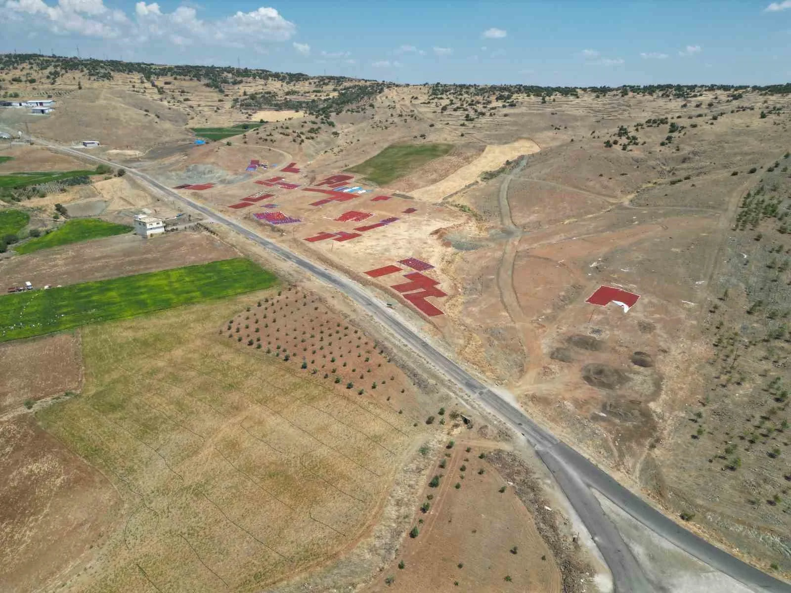 Kilis’te biber kurutma mesaisi başladı, sınırın sıfır noktası kırmızıya büründü