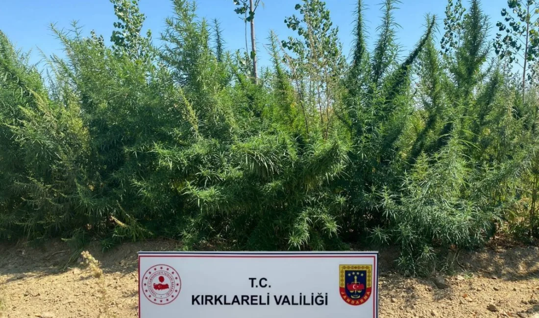 KIRKLARELİ’NDE JANDARMA EKİPLERİ TARAFINDAN