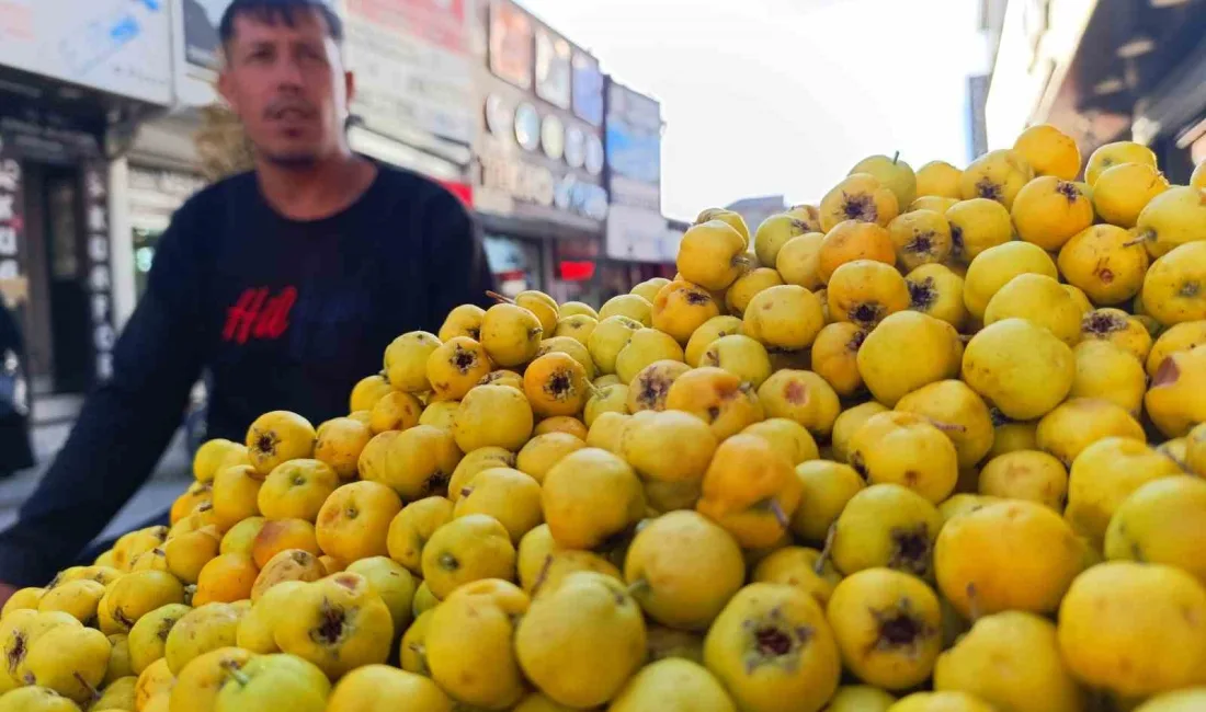 VAN’DA KIŞIN HABERCİSİ OLARAK