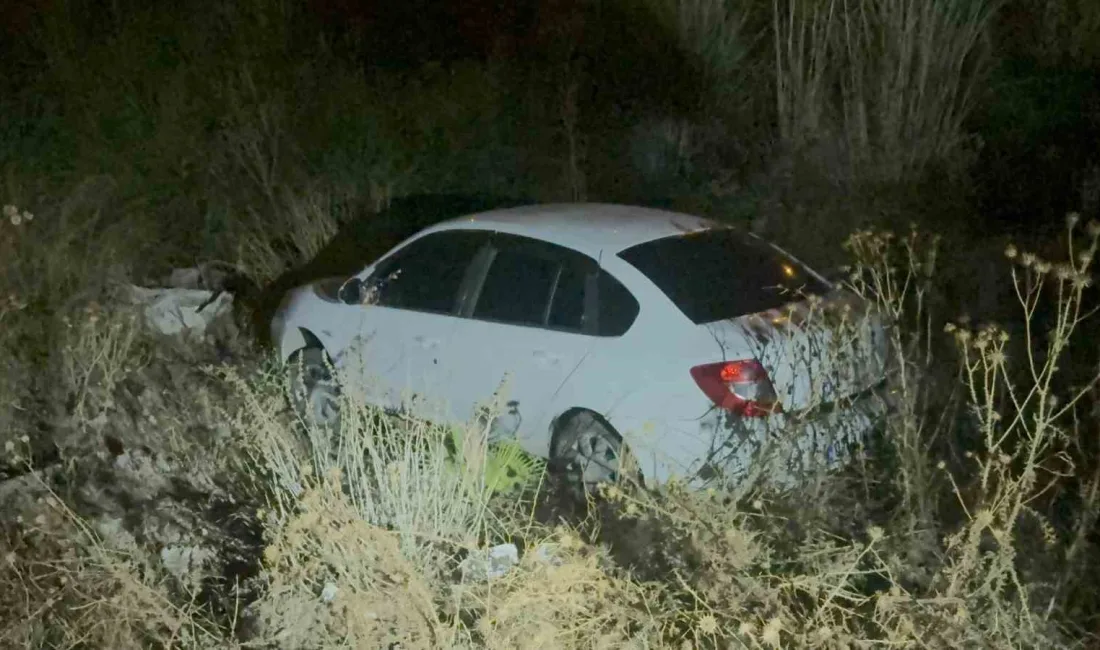 ANTALYA'NIN GAZİPAŞA İLÇESİNDE KONTROLDEN