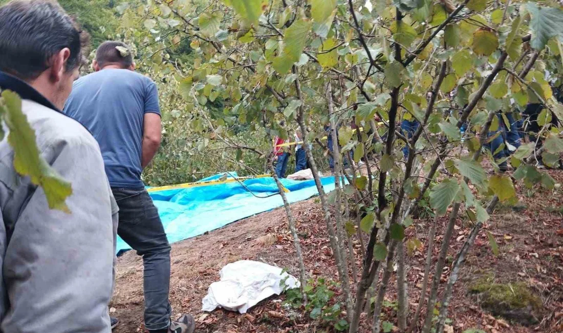 SAKARYA’NIN HENDEK İLÇESİNDE KONTROLDEN