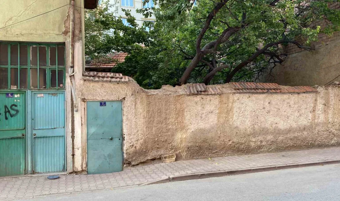 KONYA'DA BİR EVİN BAHÇESİNDE