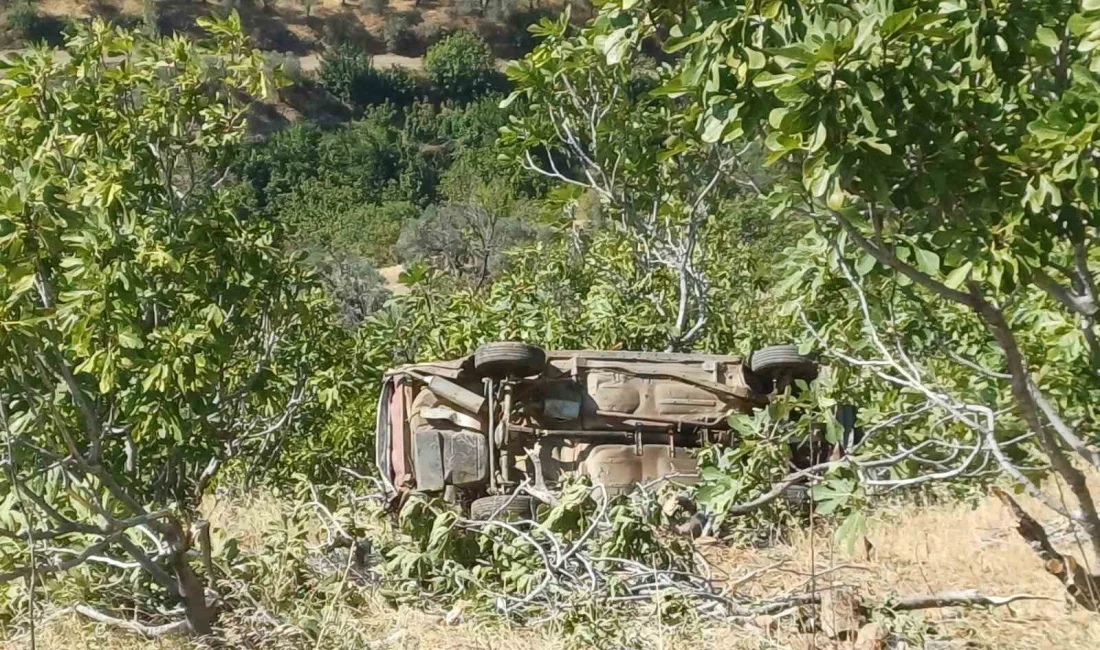 KÖŞK’TE OTOMOBİL UÇURUMA YUVARLANDI: