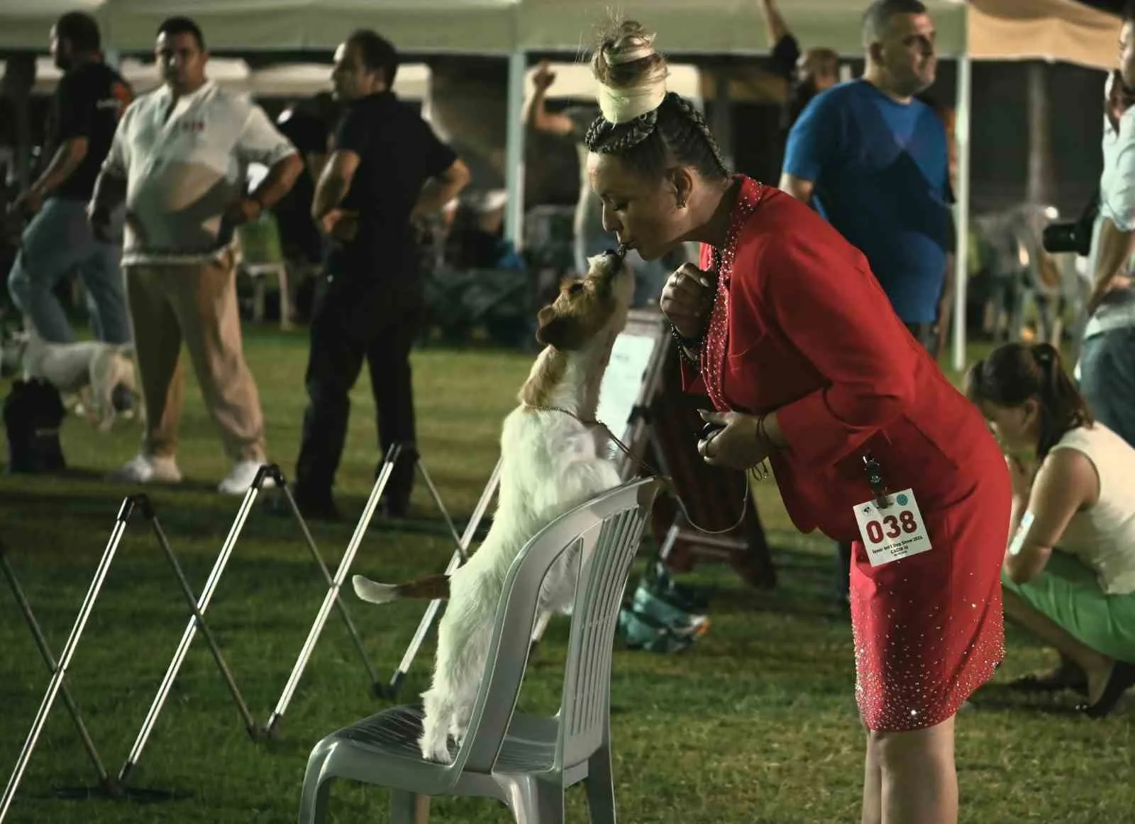 Kuşadası’nda renkli köpek şöleni: ’International Dog Show’ sona erdi