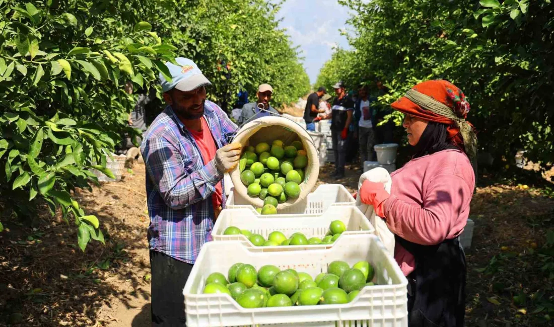 ADANA’DA HASADI DEVAM EDEN