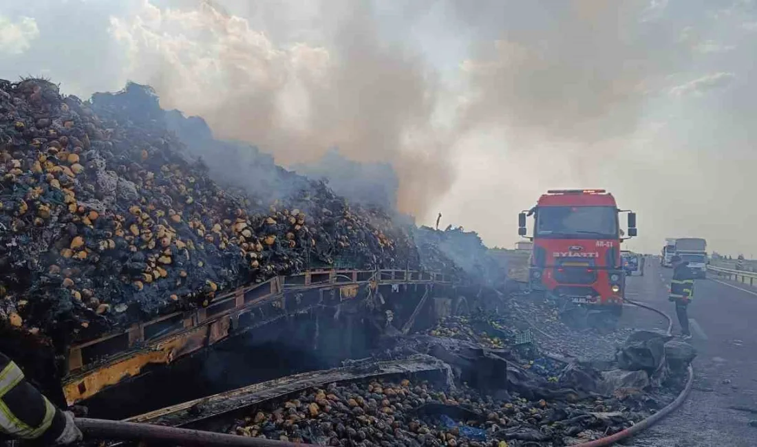 MARDİN’DE ARMUT YÜKLÜ TIR