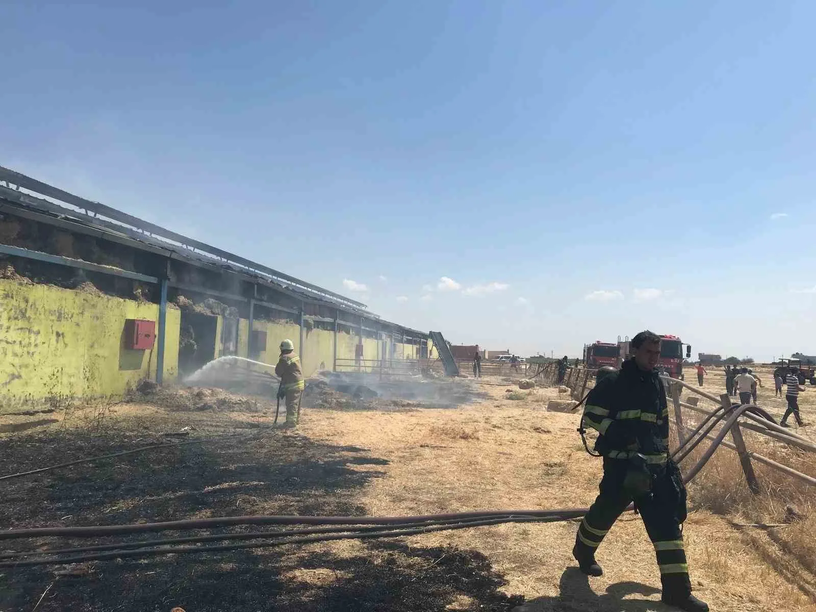 Mardin’de çiftlikte çıkan yangına müdahale devam ediyor