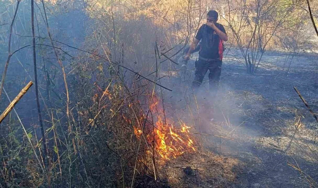 MARDİN’DE ORMANLIK ALANDA ÇIKAN