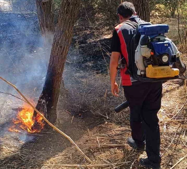 MARDİN’DE ORMANLIK ALANDA ÇIKAN