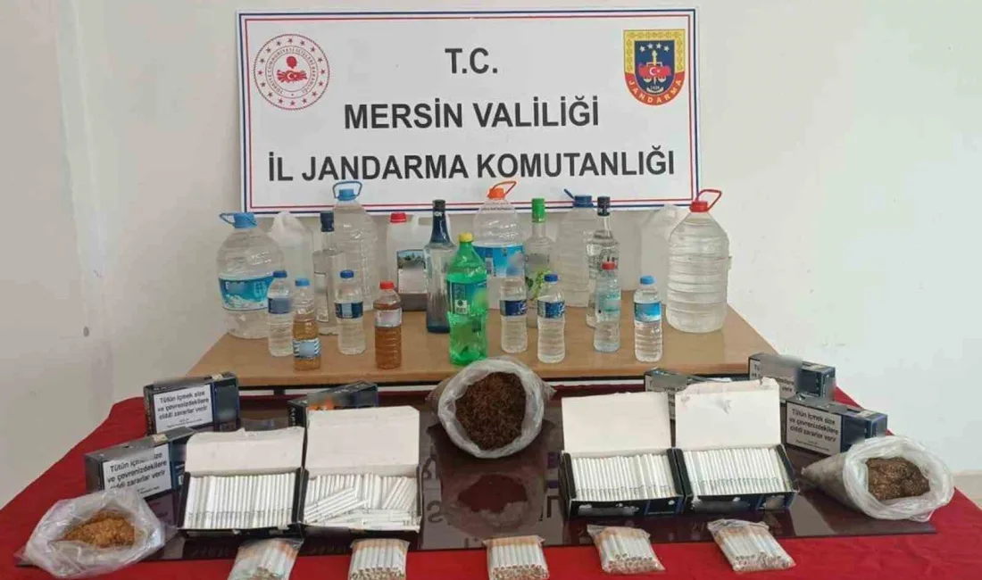 MERSİN'DE JANDARMA EKİPLERİNCE YAPILAN