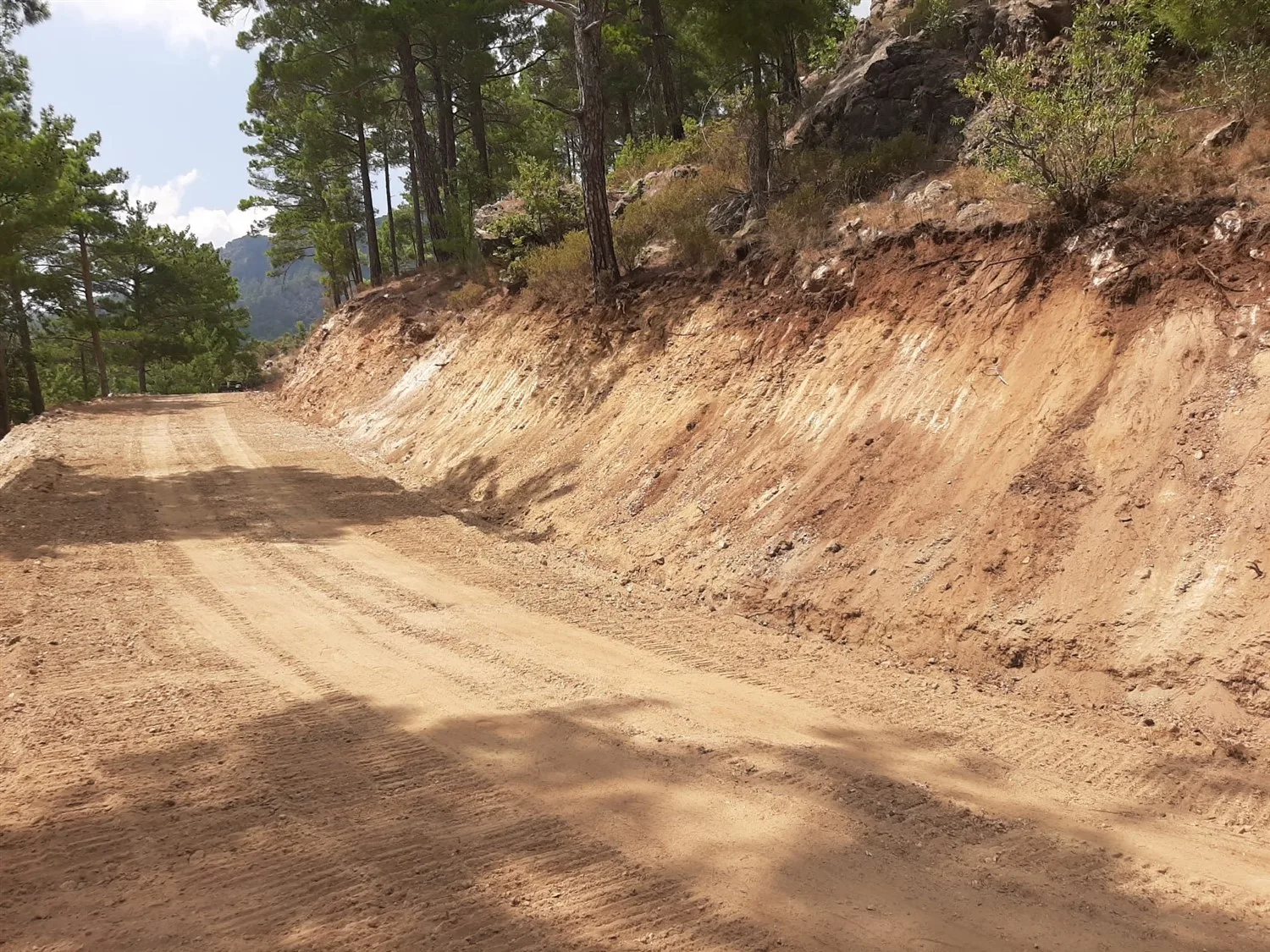 Mersin’de orman yolları yapım çalışmaları sürüyor