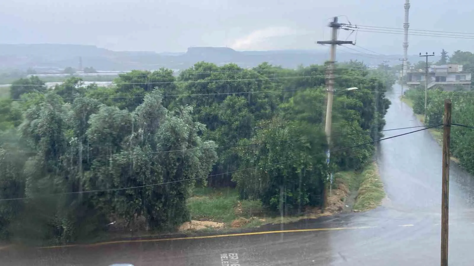 Mersin’de sağanak etkili oldu, yıldırımın isabet ettiği ağaç yandı