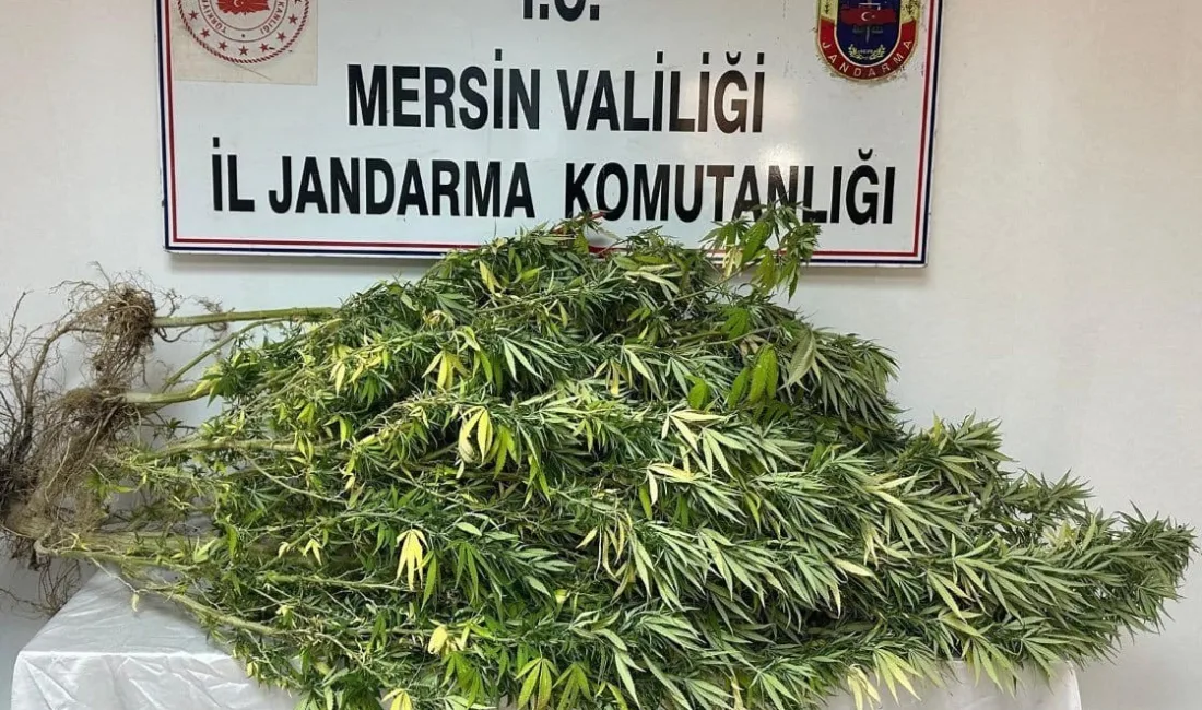 MERSİN'DE JANDARMA EKİPLERİNİN UYUŞTURUCU