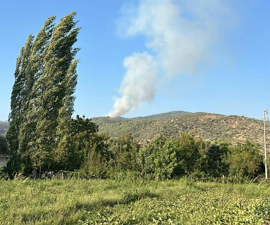 Milas’ta orman yangını