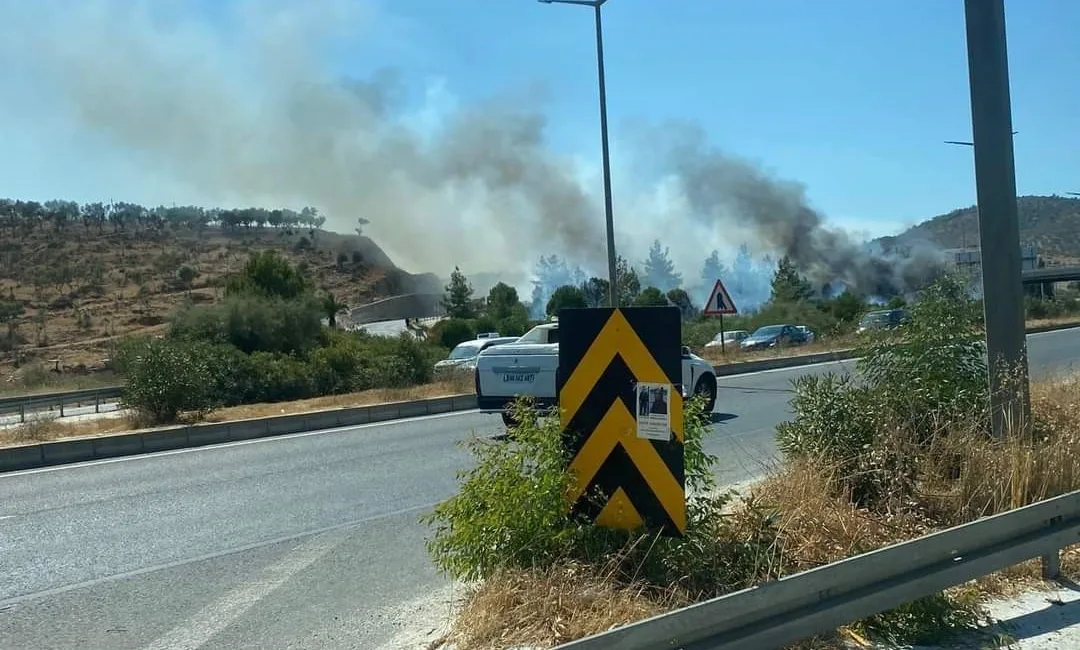 MUĞLA'NIN MİLAS İLÇESİNDE ÇIKAN