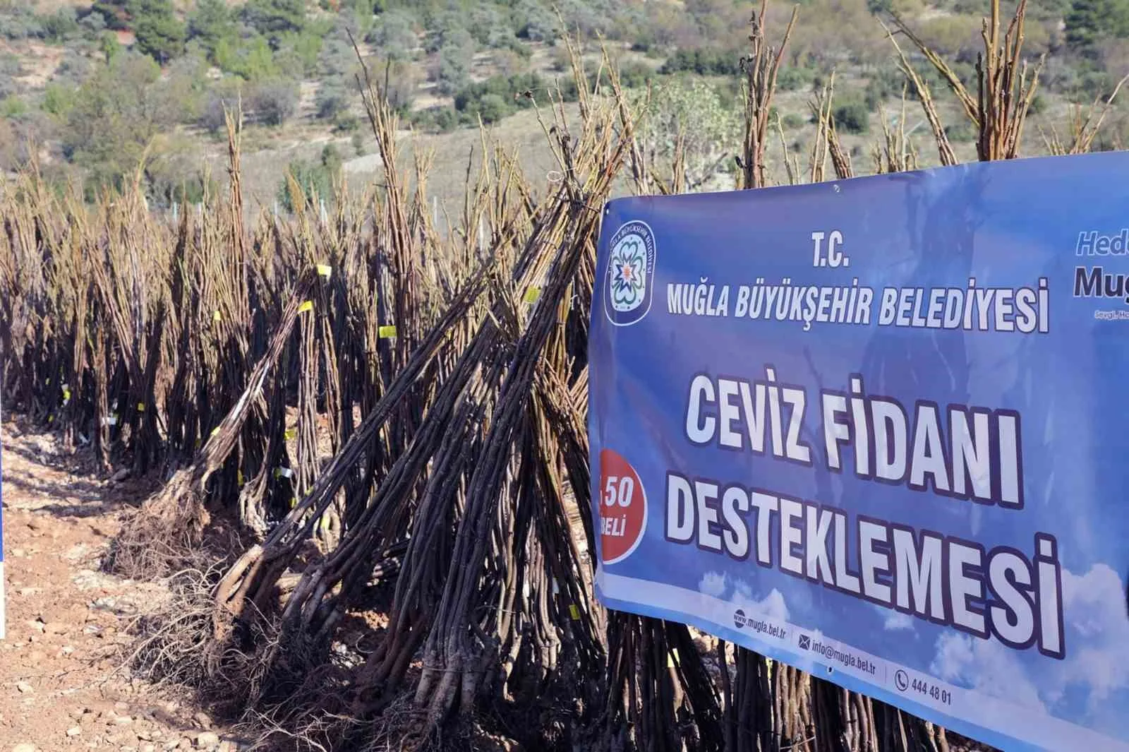 Muğla Büyükşehirden ‘Her Kapıda Bir Fidan’ projesi