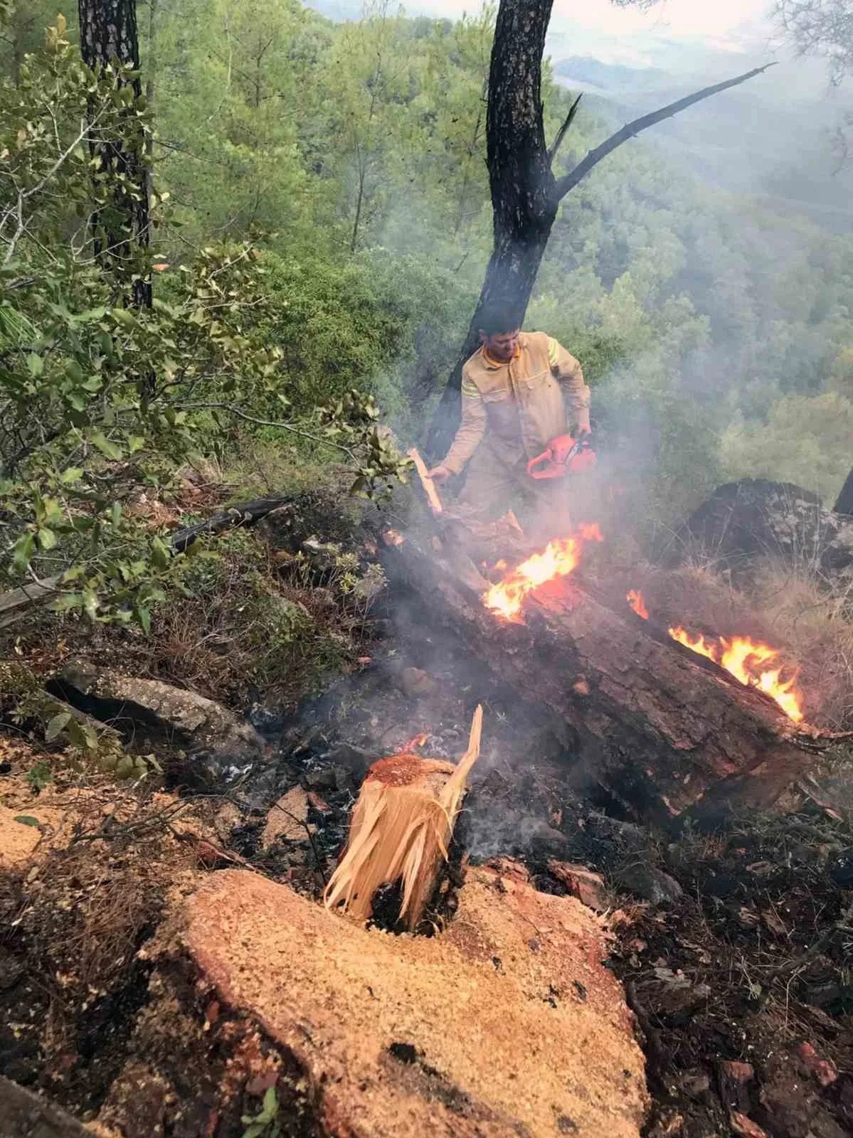 Muğla’da 5 günde 50 yıldırım yangını