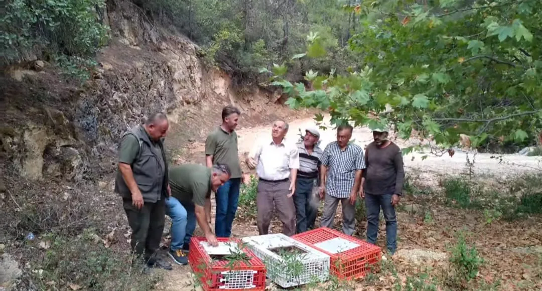 MUĞLA DOĞA KORUMA VE