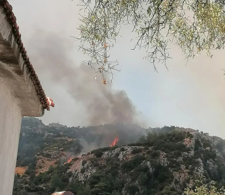 MUĞLA’DA ORMAN YANGINI