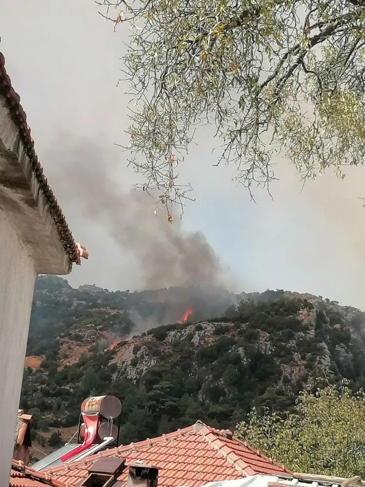 Muğla’da orman yangını