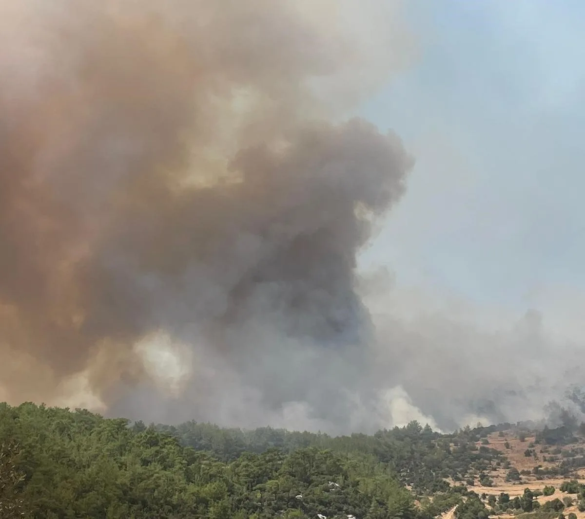 Muğla’daki orman yangınını söndürme çalışmaları devam ediyor