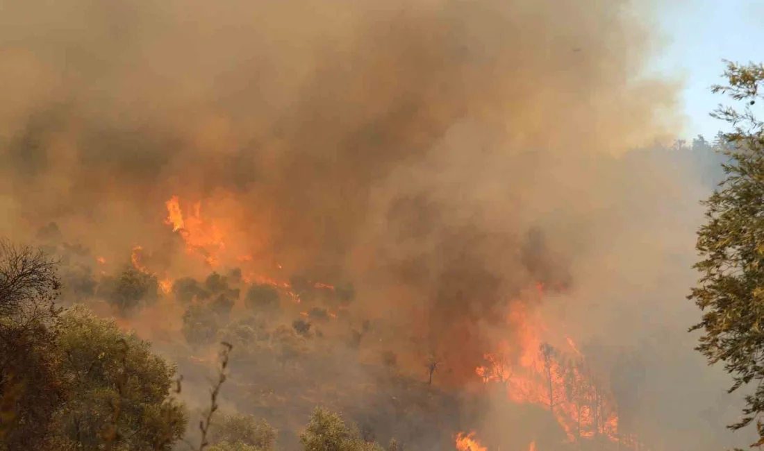 MUĞLA’DAKİ YANGIN YOLU KAPATTI