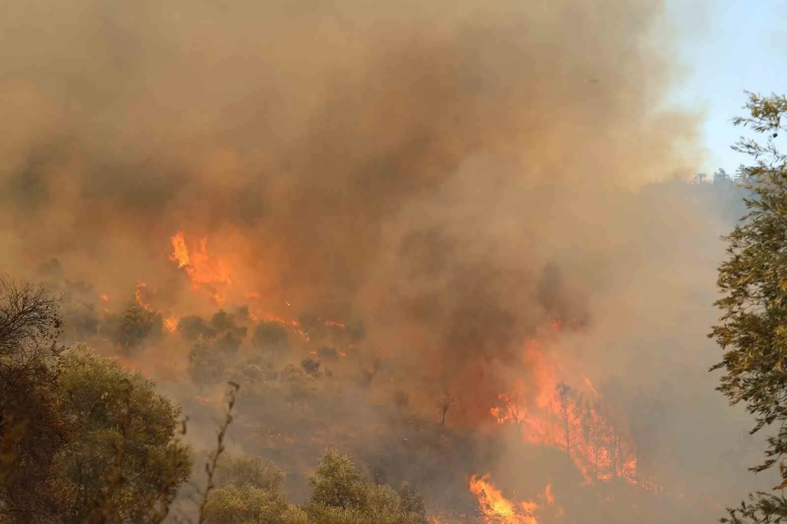 Muğla’daki yangın yolu kapattı