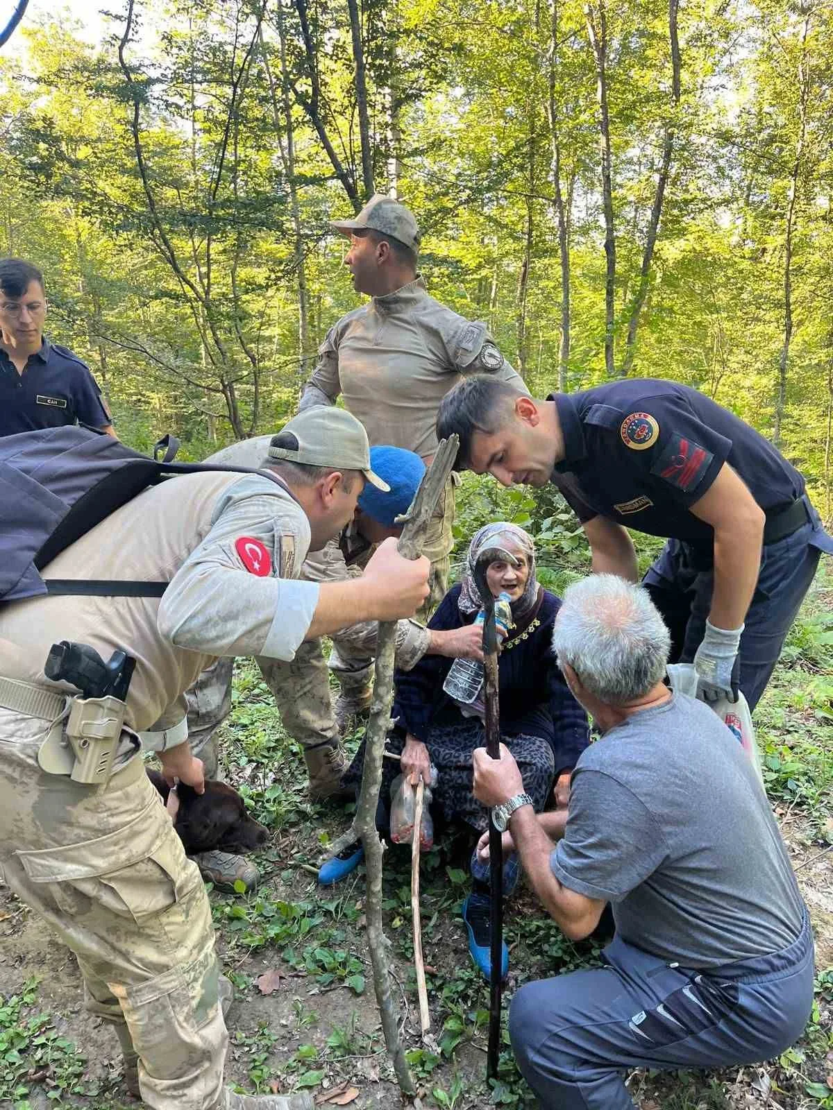 Ormanda kaybolan yaşlı kadın bulundu